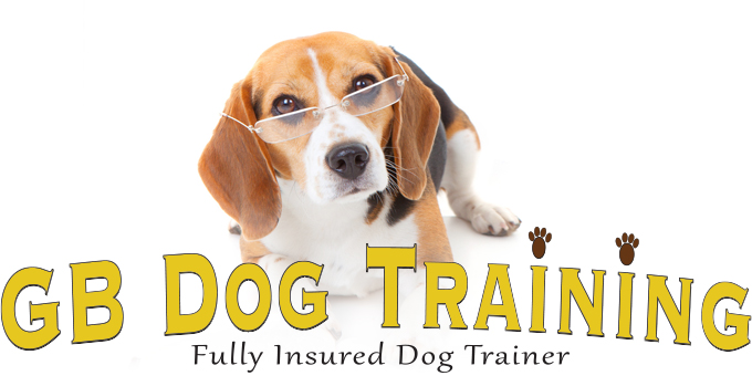 Dog Trainers Telford | GB Dog Training, 5 Bader Close, Apley, Telford, TF1 6YB